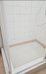 Blk 541 Pasir Ris Street 51 (Pasir Ris), HDB Executive #449726141